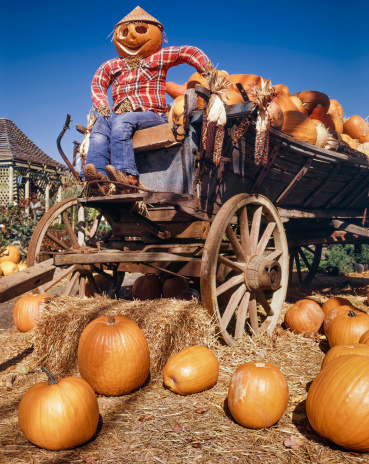 harvest pumpkin man and farm wagon wagon near New Hope, Pennsylvania