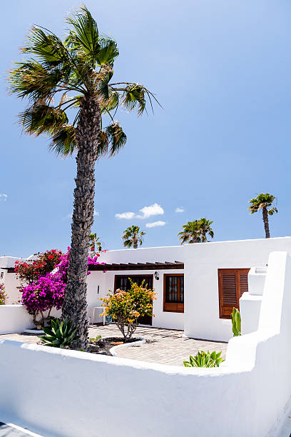 istock Luxury house in Lanzarote 155383358
