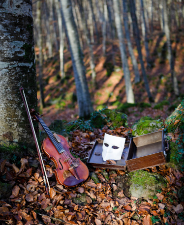 Violin alongside a mask in a deciduous forest