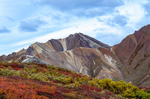 Colorful tundra under a partly cloudy blue sky backed by mountains in Denali National Park, Alaska