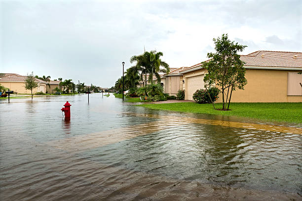 наводнения от урагана - hurricane florida стоковые фото и изображения