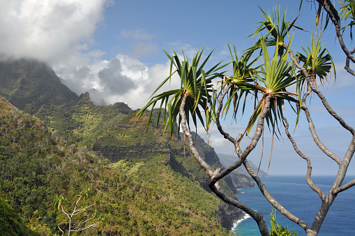 Kauai is geologically the second-olders ot the main Hawaiian Islands.  With an area of 562 square miles,, it is the fourth-largest of the islands and 21st largest island in the United States.  It's nickname is Garden Isle.