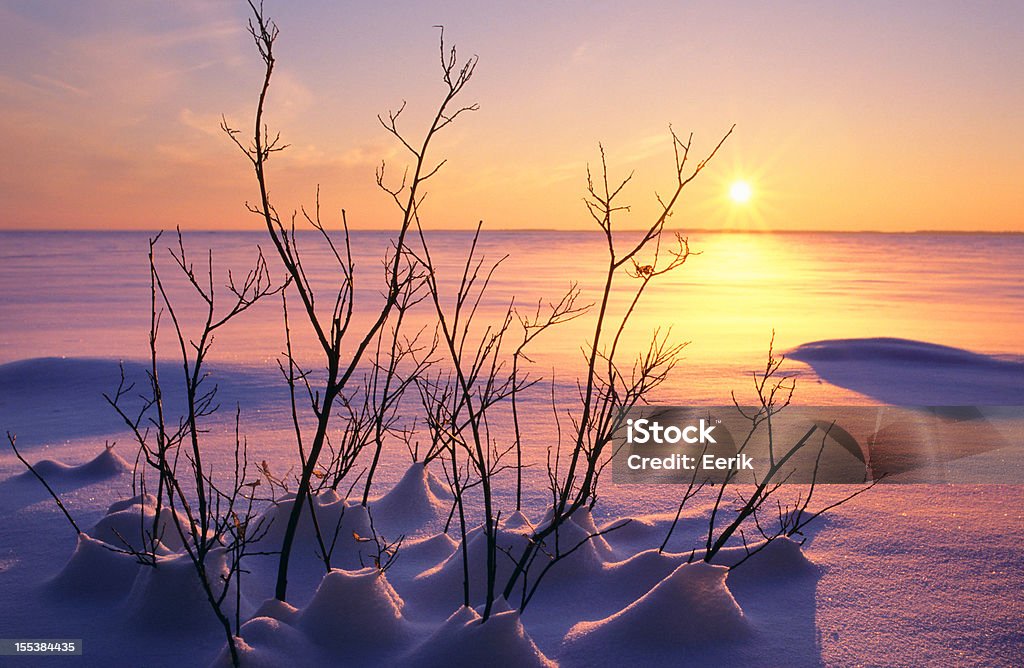 Зимний закат - Стоковые фото Финляндия роялти-фри