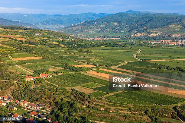 Wachau Österreich Stockfoto und mehr Bilder von Ansicht aus erhöhter Perspektive - Ansicht aus erhöhter Perspektive, Bauernhaus, Dorf