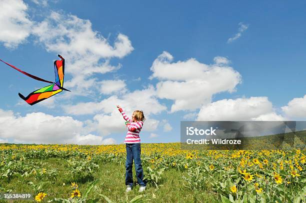 Девушка Летит Комплекты В Цветок Заполненных Meadow — стоковые фотографии и другие картинки Воздушный змей