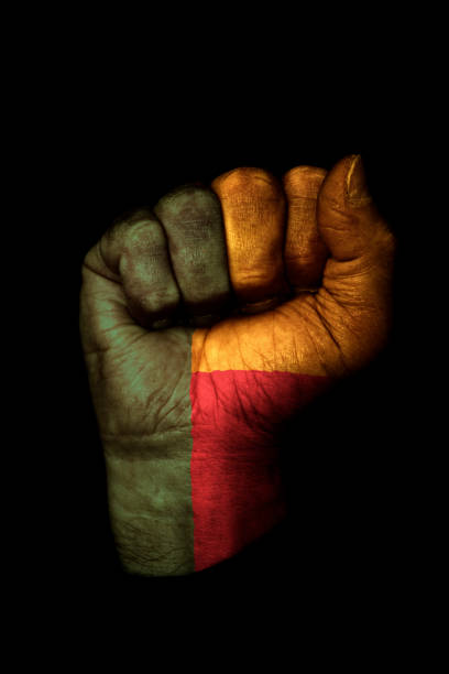 310+ Fotos, Bilder und lizenzfreie Bilder zu Flagge Benins Fotos iStock