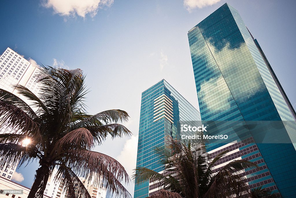 Центр Майами финансовом районе города, небоскребы и пальмы - Стоковые фото Офис-парк роялти-фри