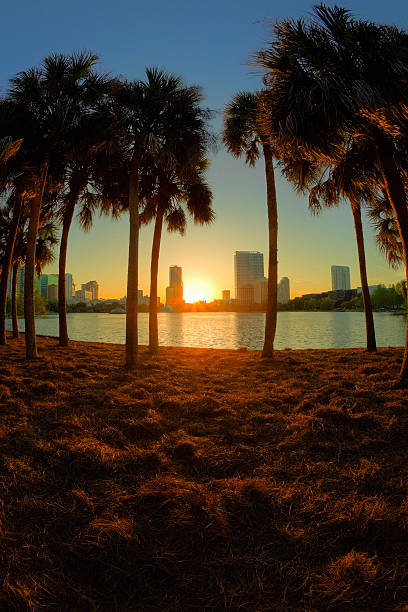 Orange sunrise against a blue sky in Orlando, Lake Eola
