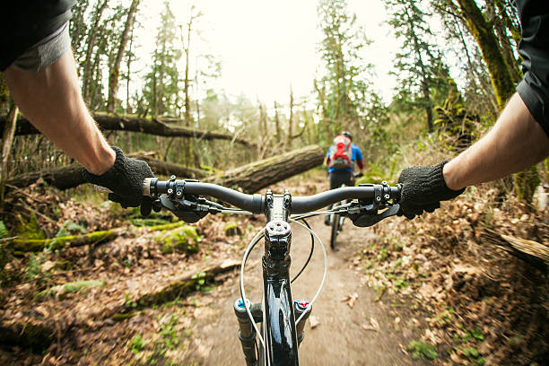 istock Personal perspective, downhill mountain bike ride 155385149