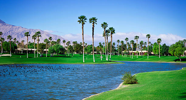 istock Palm Springs Golf Course Panoramic XXXL 155385211