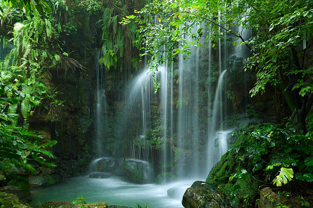 Waterfall Stock Photo - Download Image Now - Waterfall, Tropical