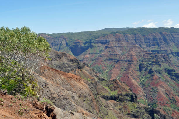 istock Waimea Canyon, Kauai, Hawaii 1553858167