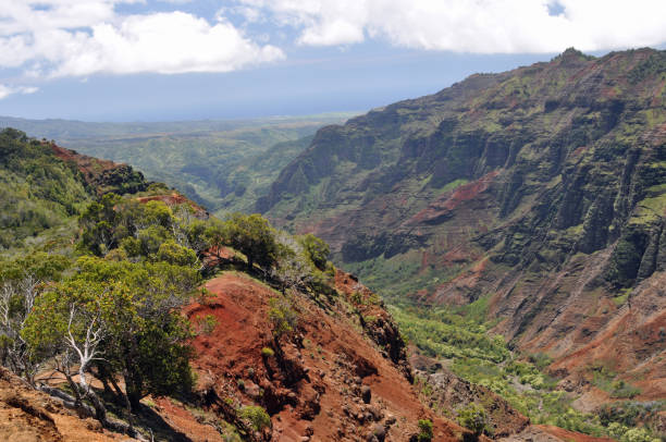 istock Waimea Canyon, Kauai, Hawaii 1553859230