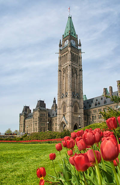 istock Ottawa parliament with tulips 155385978