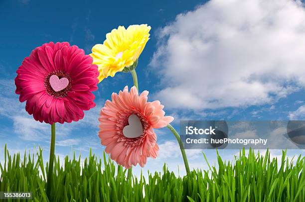 Foto de Primavera De Amor e mais fotos de stock de Símbolo do Coração - Símbolo do Coração, Flor, Verde - Descrição de Cor