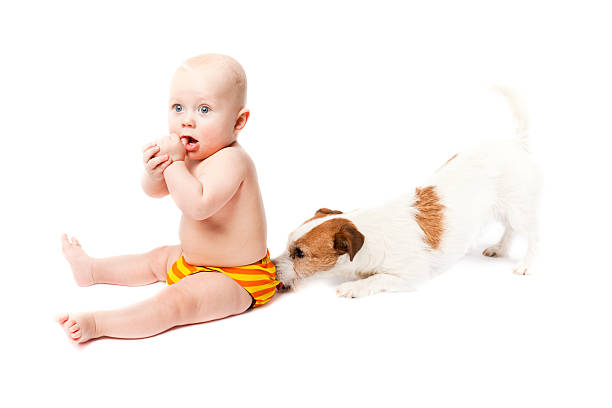 Baby sitting with durable diaper and suprised by small dog stock photo