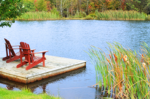 view of a peaceful lake, surrounded by tall green grass and reeds. With a dock set off in the left corner housing two Wooden deck chairs, sat side by side looking out over the view of the lake. Peaceful place. 