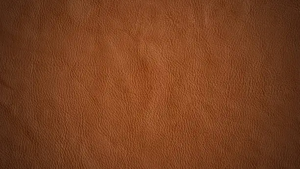 Photo of leather