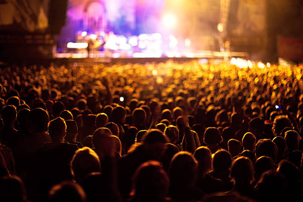 aclamar multitud - popular music concert stadium rock and roll crowd fotografías e imágenes de stock