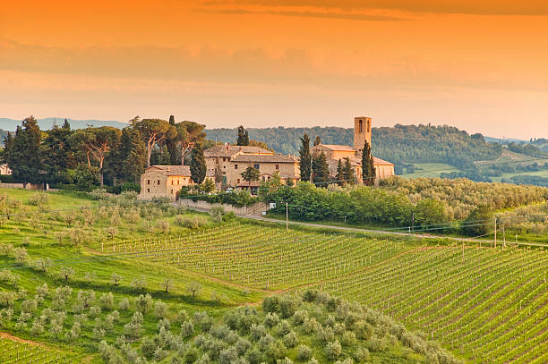 ファームのタスカニー - vineyard tuscany italy italian culture ストックフォトと画像