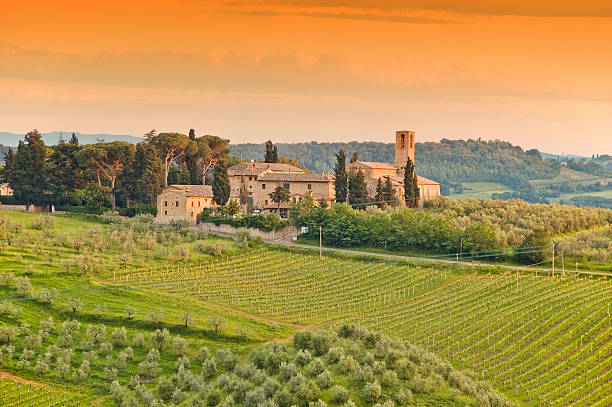 Beautiful landscape with vineyards in Tuscany