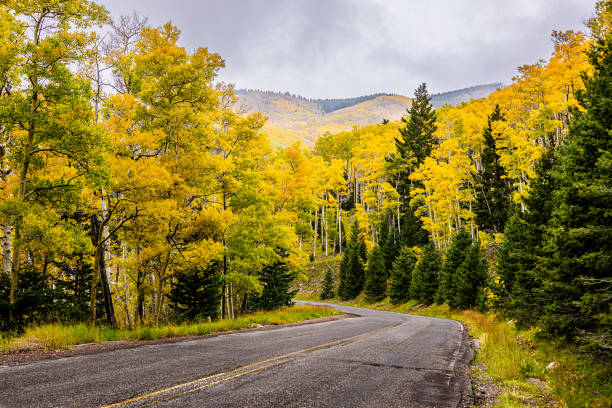 Fall Colors in the Santa Fe National Forest stock photo