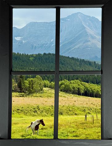 Looking out an old wood framed window with at a pinto horse in a lush mountain pasture. Rocky Mountains in the distance, with the scene on the east slope of the mountains.
