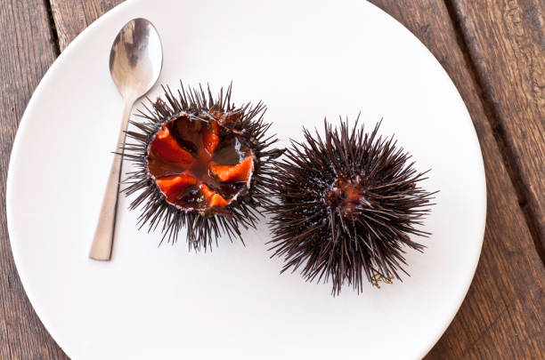 dish of sea urchins Close-up of sea urchins on a plate, ready to eat purple sea urchin stock pictures, royalty-free photos & images