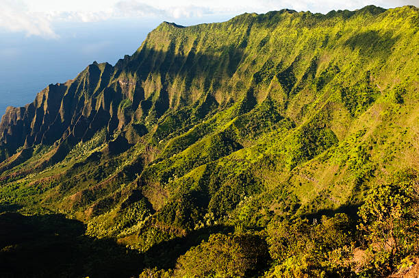 kauai krajobraz w dramatyczne kalalau lookout - kauai tropical climate green travel destinations zdjęcia i obrazy z banku zdjęć