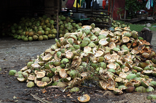 Husks of coconuts, Puerto Princessa, Palawan island, Philippines