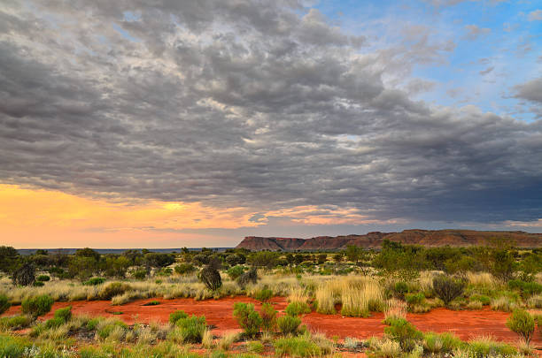 pôr do sol no deserto (kings kanyon, austrália - watarrka national park - fotografias e filmes do acervo