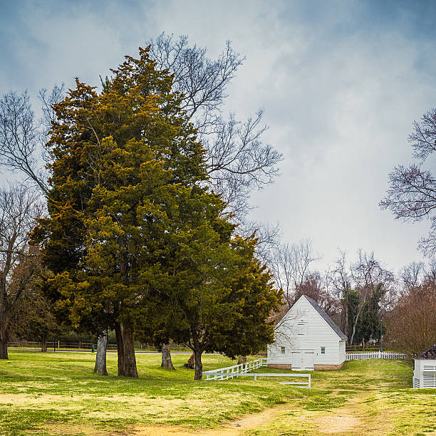Historic Brick Slave Cabins at Magnolia Plantation, Cane River Creole National Historic Park, Louisiana, USA