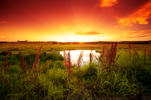 Australian landscape at sunset.