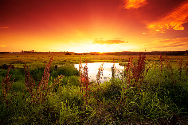 Warm glowing field stock photo