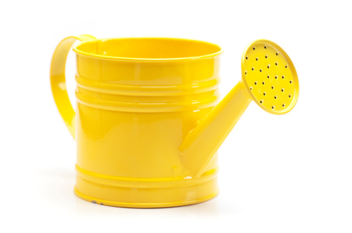 Yellow watering can isolated in white.