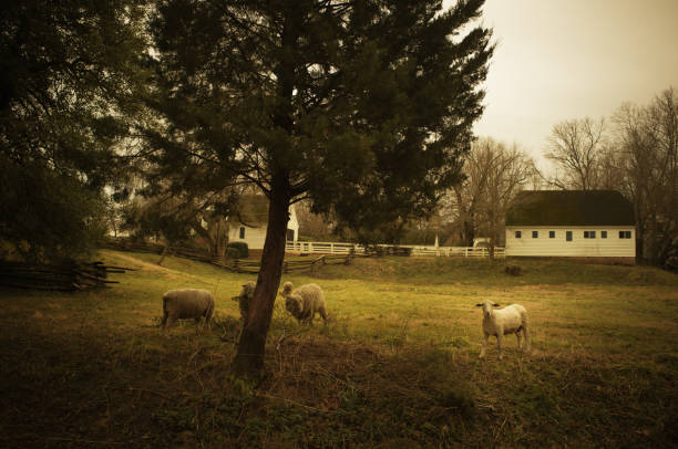 istock rural scene in virginia 155387386