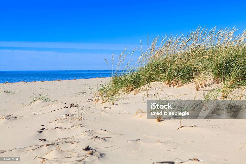 Michigan Lake shore  Beach Stock Photo