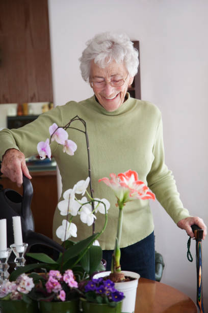 istock Cheerful Senior Watering Plants:  Assisted Living 155387409