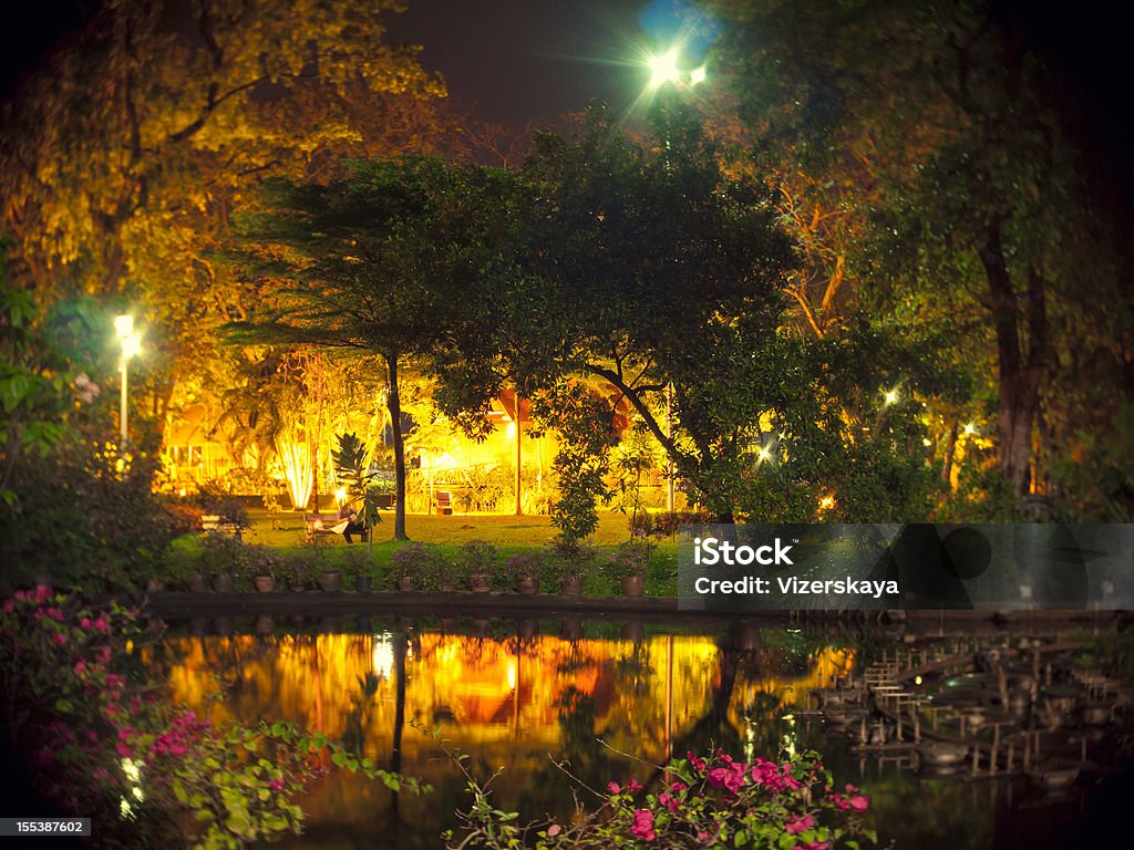 Parc de nuit à Bangkok - Photo de Arbre libre de droits