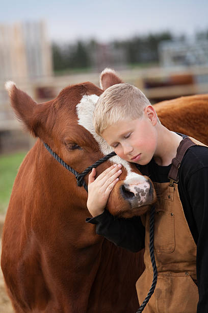 istock A young boy in brown overalls with his brown calf 155387805