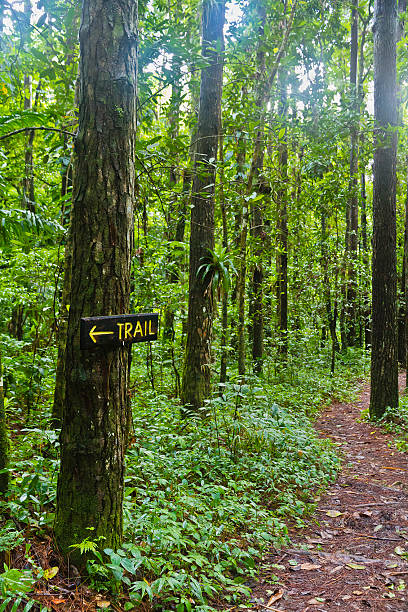 istock Vermont Nature Trail, Saint Vincent 155388383