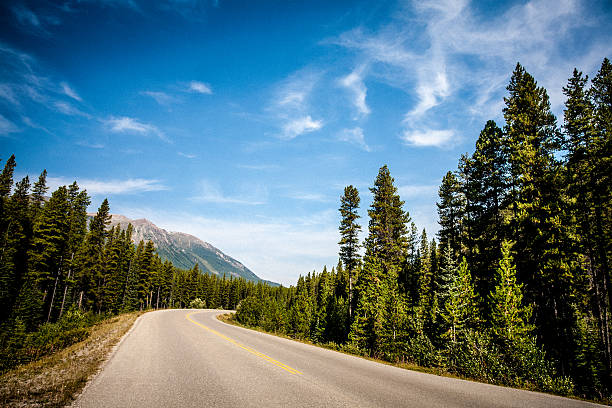 istock Banff National Park road 155388423
