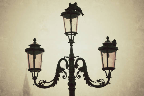 Murano glass street lamp at Venice under fog.\u2028http://www.massimomerlini.it/is/venice.jpg\u2028http://www.massimomerlini.it/is/venicecarnival.jpg