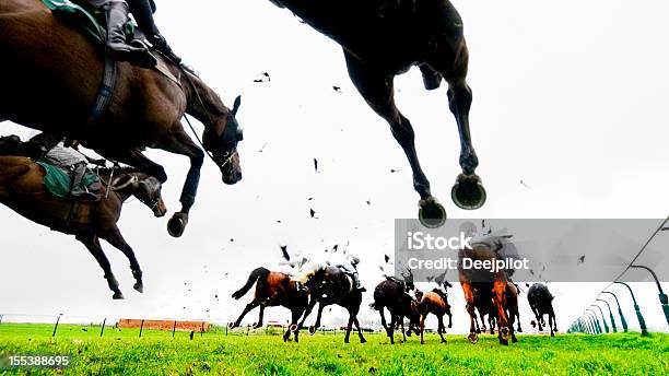 Hindernislauf Springen Und Pferderennen Stockfoto und mehr Bilder von Pferderennen - Pferderennen, Rennpferd, Jockey
