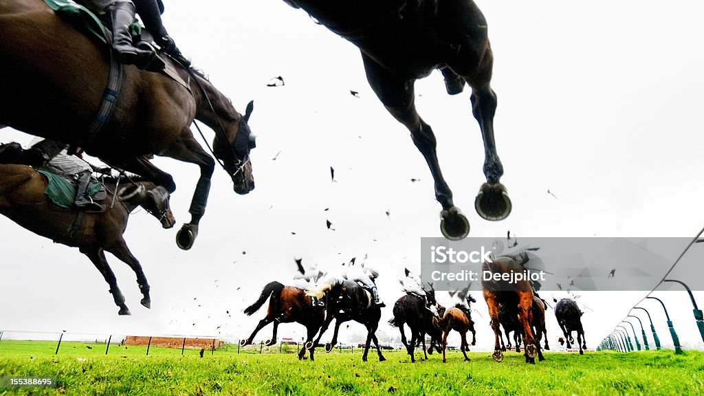 Steeplechase Jump and Horse Racing Steeplechase and Horse Racing with horses and jockies running into the distance. Low angle view, high contrast image, bleached look with added grain. Horse Racing Stock Photo