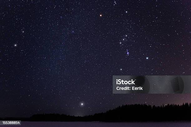 Invierno Constellations Foto de stock y más banco de imágenes de Cielo - Cielo, Noche, Estrella