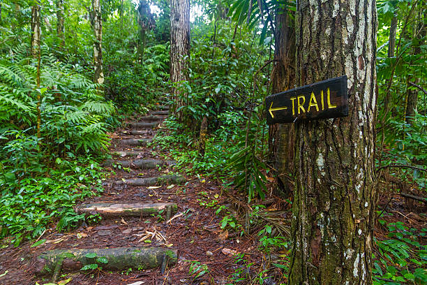 istock Vermont Nature Trail, St. Vincent 155389017