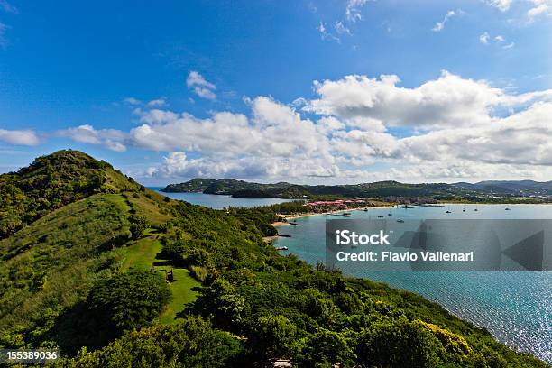 Pombo Parque Nacional Da Ilha De St Lucia - Fotografias de stock e mais imagens de Baía de Rodney - Baía de Rodney, Santa Lúcia, Mar das Caraíbas