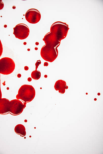 Fresh Blood Droplets Red on White Background 2 Fresh Blood Droplets Red on White Background 2 blood drop stock pictures, royalty-free photos & images