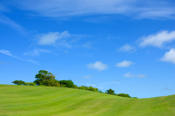 녹색 필드 및 blue sky - golf panoramic golf course putting green 뉴스 사진 이미지